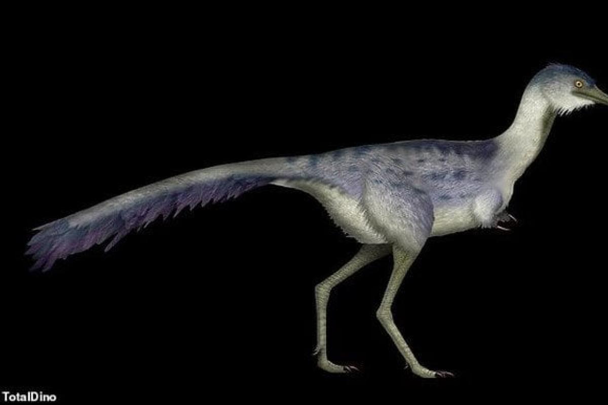 В Аргентині знайшли ідеально збережене яйце динозавра віком 70 мільйон