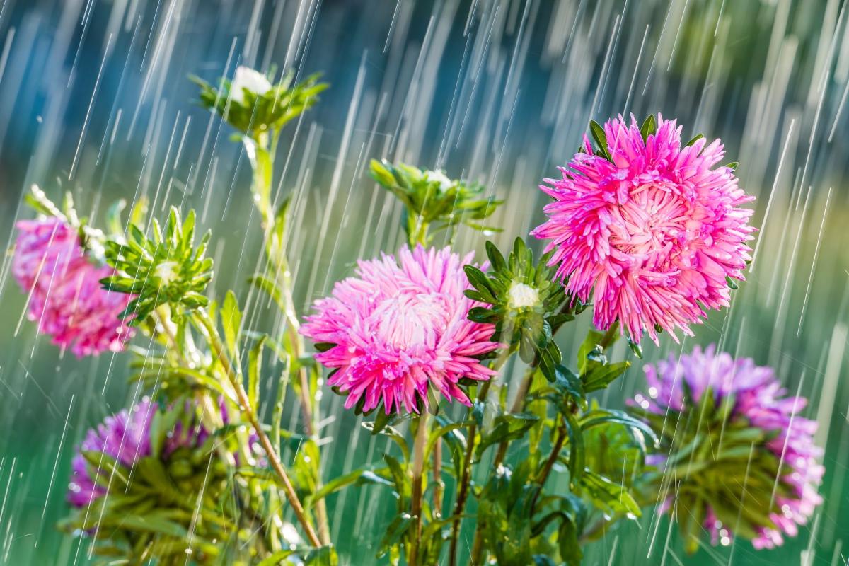 прогноз погоди