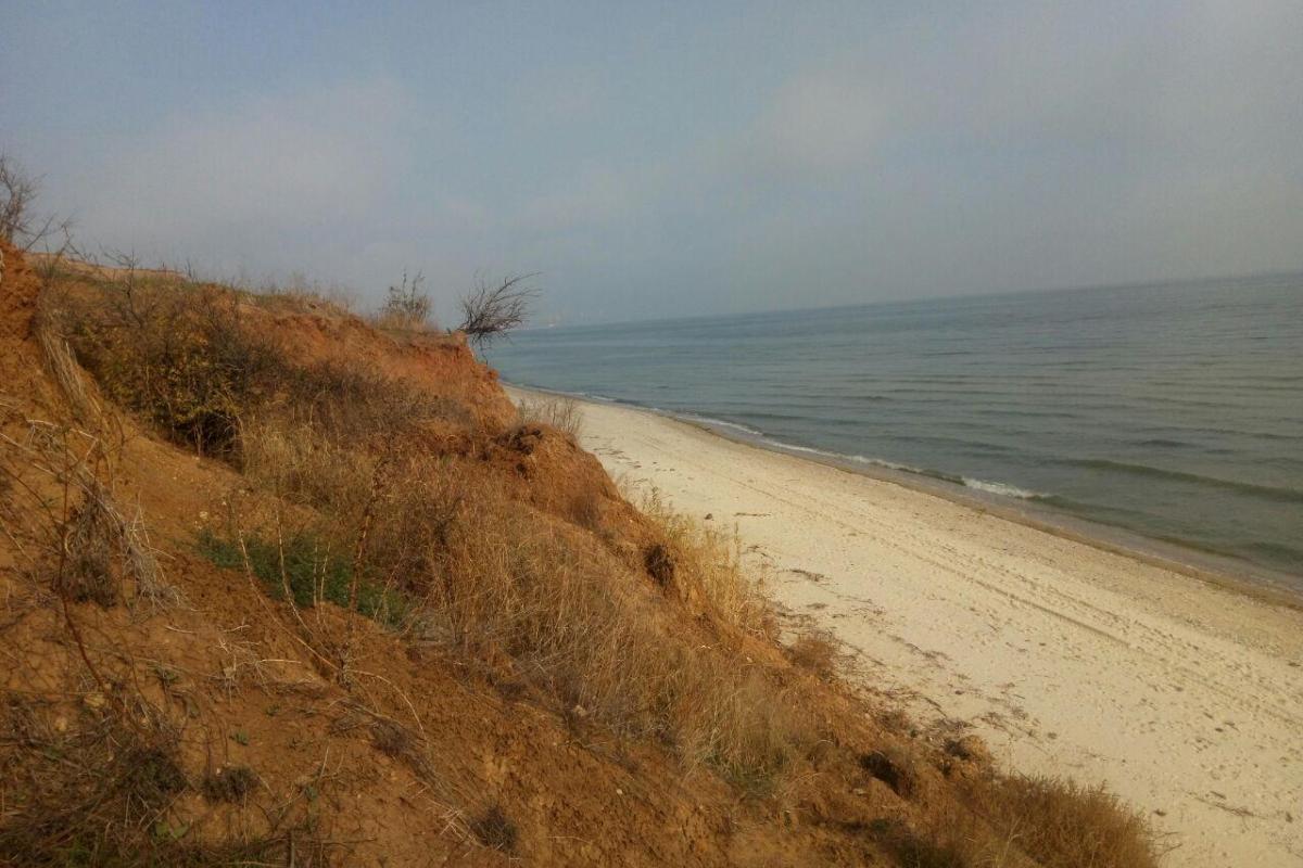 море