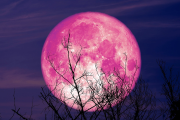 Розовая Луна: рекомендации для важного астрологического события. Розовая Луна