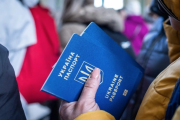 украинцы в ЕС