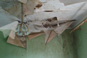 Лисичанск