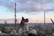 Закат над руинами: на видео из Белогоровки показали цену обороны Луганщины