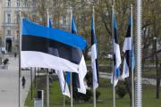 В Эстонии заявили о возможной выдаче украинцев для мобилизации в ВСУ
