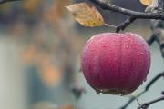 Циклон несе холод, дощі та вітер: якою буде погода в Україні у вихідні