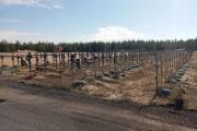 Кадри масових поховань у Рубіжному відкривають правду про березень 202
