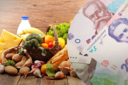 Как использование генераторов повлияет на себестоимость основных продуктов Удорожание продуктов питания