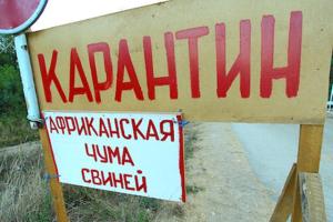Луганщина ужесточает меры по предупреждению распространения АЧС