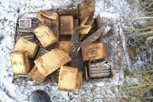 Тысячу патронов в камышах нашел пограничник на Харьковщине