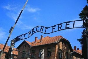 Предполагаемые охранники Освенцима арестованы в Германии