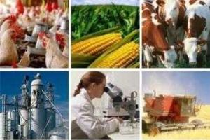 Ряд отраслей АПК получат бюджетную поддержку в 2014 году 