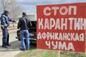 Заседание Государственной чрезвычайной противоэпизоотической комиссии пройдет в Кабмине
