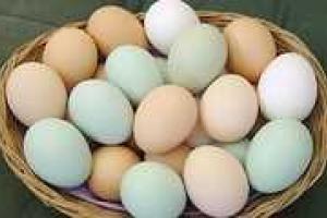 Стабилизация ценовой ситуации на рынке продуктов питания Харьковщины