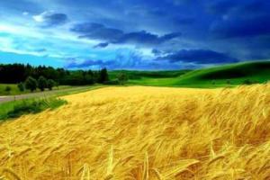 Состоялся всеукраинский форум по вопросам природоохранной сферы