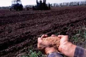 В Украине полным ходом идет посевная кампания