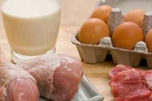 Житомирщина наращивает производство сельхозпродукции
