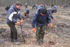 Акция "Будущее леса в твоих руках" продолжается на Ровенщине