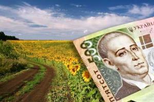 Плата за землю - источник пополнения бюджета - Ирина Сех