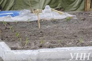 На Майдане активисты сажают огород и планируют разводить кур и свиней