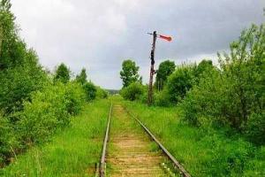 Продолжается благоустройство защитных лесонасаждений вдоль железнодорожных путей