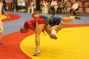 С чемпионата Украины по борьбе самбо львовяне привезли шесть наград 