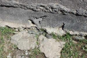 Змеи устроили зимовку в киргизской школе