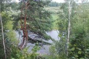 Состоится пресс-тур в региональный ландшафтный парк "Междуреченский"