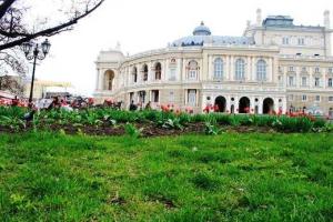 Приморский район Одессы расцвел благодаря усилиям коммунальщиков и жителей города