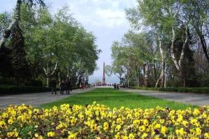 Аллеи одесского парка раскрасят тысячи летних цветов 