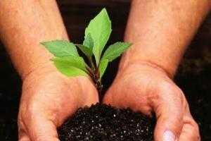 Минагрополитики работает над приведением украинского законодательства к требованиям ЕС