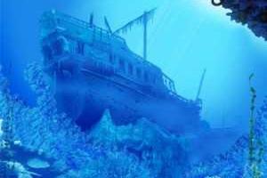 Украина начала работу по ратификации Найробийской международной конвенции 