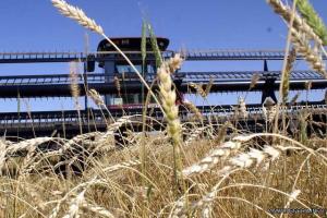 Оперативная информация Минагрополитики о ходе полевых работ