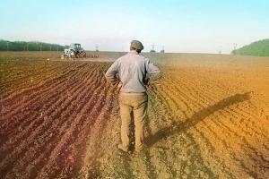 На Луганщине в собственность и пользование передано 686 тыс. га земель