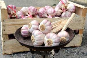 Ученые объяснили причину зловонного дыхания после поедания чеснока