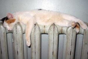 Минрегион контролирует подготовку объектов теплоснабжения к зиме