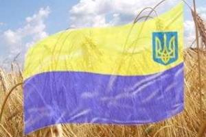 В Питере пикетами отметят День независимости Украины