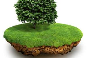 Приняты первые решения о выделении земельных участков семьям героев Небесной сотни