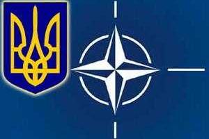 Референдум о присоединении к НАТО могут провести в Украине уже в октябре 