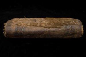 Жуткие находки гарвардских библиотекарей