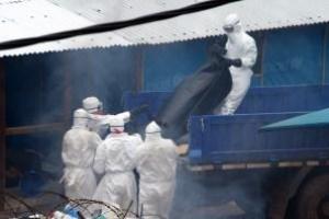 Американские военные отправятся в Африку на борьбу с вирусом Эбола