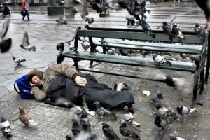 Власти датского Оденса решили облегчить жизнь местных бомжей 