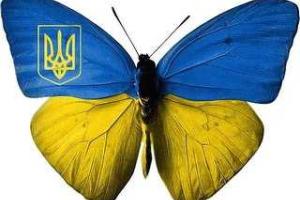 Раненых в АТО бойцов поддержали дети с Киевщины