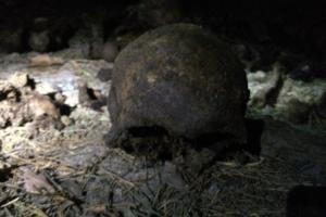 "Лихие 90-е" подбросили загадку полиции Екатеринбурга