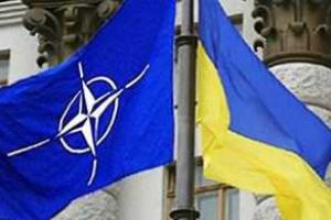 О помощи НАТО Украине будет объявлено 5 сентября