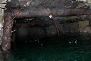 На Донбассе целенаправленно уничтожают шахты