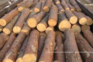 Контрабандные сигареты пытались провезти через границу в "коробочках" из бревен