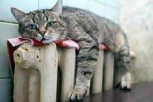 Гройсман: Около трети школ, детсадов и больниц в Украине уже отапливаются