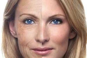 Ученым удалось остановить старость у мышей