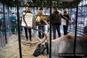 В Москвы молодые активисты требовали освободить оленя