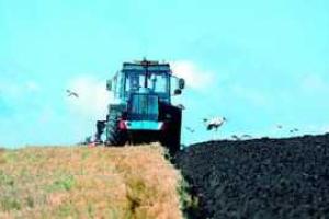 Инвентаризация госземель сельхозназначения будет завершена в Украине до 1 января 2016 года